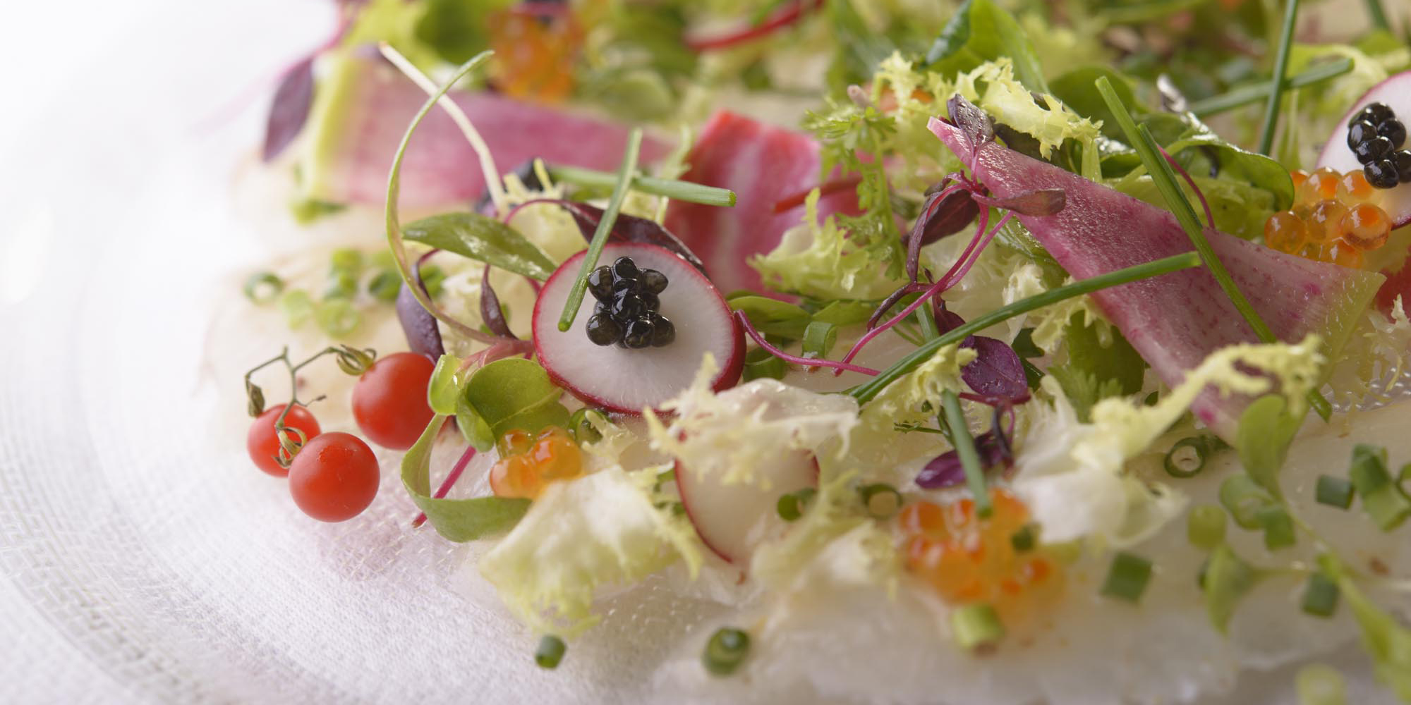 PLUSGATEJAPAN | 株式会社プラスゲートジャパン